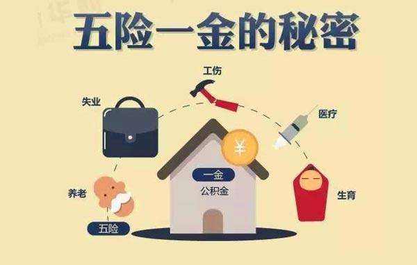 你繳的五險一金哪些能隨時繳隨時用？哪些到點才能用？