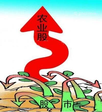 中央一號文件來了！連續(xù)16年聚焦同一主題 這些農(nóng)業(yè)股聞風(fēng)先動