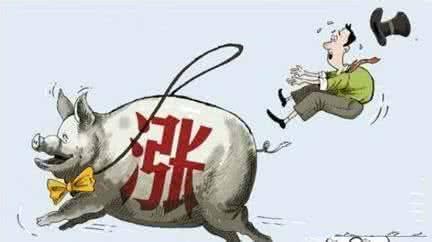豬肉價太高？別急！為了你的吃肉自由 一大批“外援”正在趕來