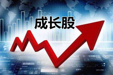 投資成長(zhǎng)股的幾點(diǎn)心得體會(huì)