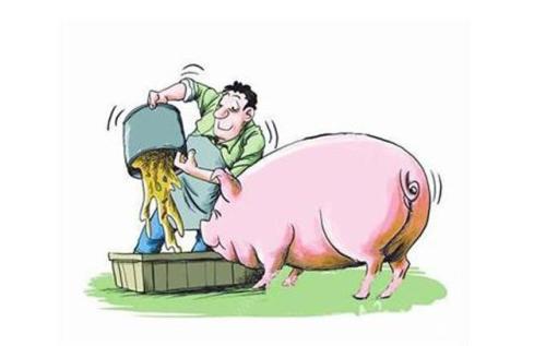 養(yǎng)豬概念股三季報逆轉(zhuǎn) 股價已經(jīng)提前透支了？