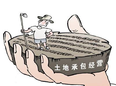 土地承包到期延長30年！中央“一號文”預期要升溫？五大板塊或再迎風口