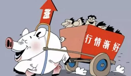超級(jí)豬周期完結(jié)？養(yǎng)豬ETF遭遇生豬連環(huán)降價(jià) 上市豬企“以量補(bǔ)價(jià)”決戰(zhàn)下半年