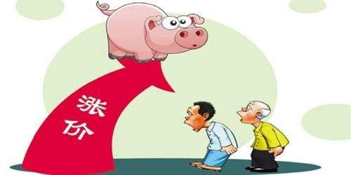 豬肉價格突然反彈！ 一公斤漲近7元 接下來怎么走？