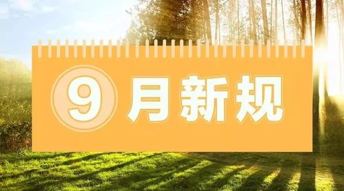 事關(guān)車子、票子、孩子！9月一大波新規(guī)開始實施